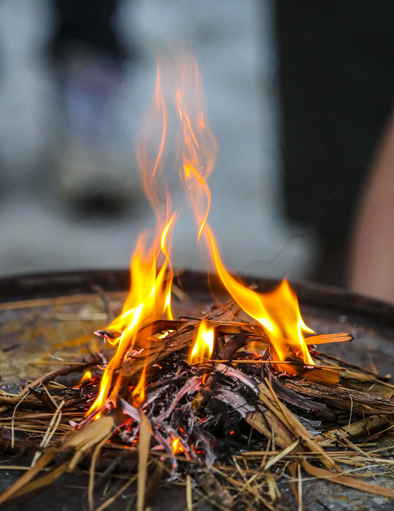 020419-qct-qca-scouts-015